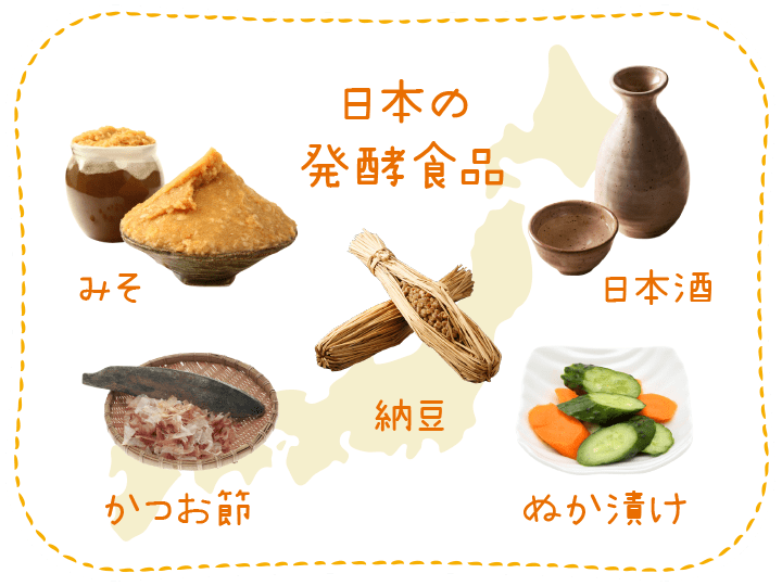 日本の発酵食品