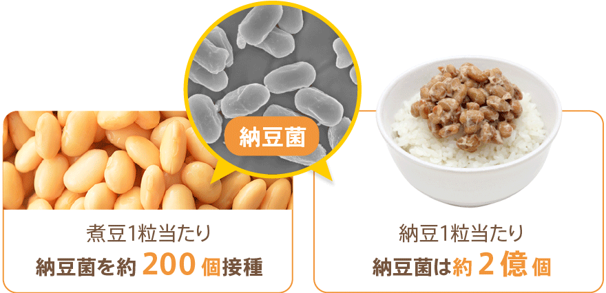 納豆１粒当たり納豆菌は約2億個